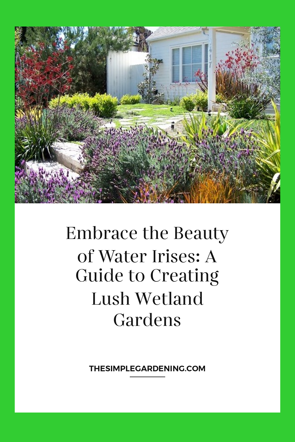 Embrace the Beauty of Water Irises: A Guide to Creating Lush Wetland Gardens